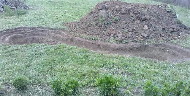 Vrtno jezerce